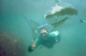 Mauricio en Tiburon IV