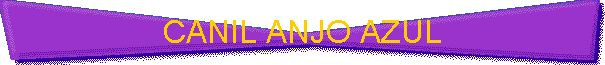 CANIL ANJO AZUL