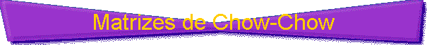 Matrizes de Chow