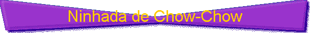 Ninhada de Chow