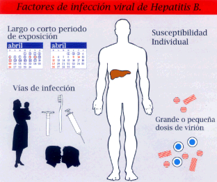 Hepatitis C