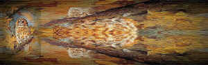 papel6.jpg (189979 bytes)