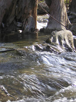 1st crossing