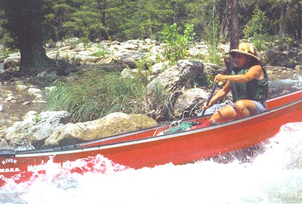 kot crusin clutter rapid