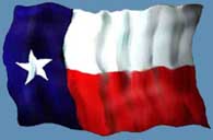 Texas Flag