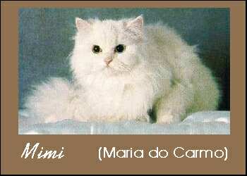 Mimi, o orgulho de Maria do Carmo, 