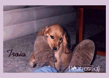 O sapato gostoso.....