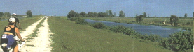 cyclist biking the rim