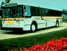 NGVBUS.jpg (23559 bytes)