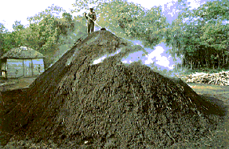 carvão1.gif (68632 bytes)