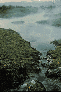 hotspring.gif (21371 bytes)