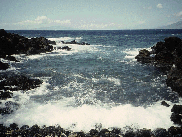 mauiocean.gif (194598 bytes)
