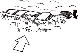 salter.gif (5955 bytes)