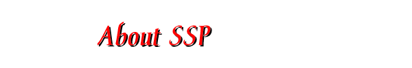 About This Site