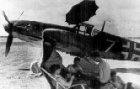 bf22-0.jpg (4347 bytes)
