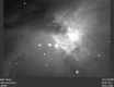 M42 the Orion Nebula