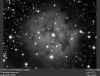 ic5146.jpg (47053 bytes)