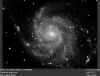 m101.jpg (46548 bytes)