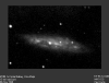m108.gif (36335 bytes)
