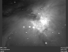 m42.gif (55976 bytes)