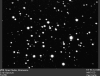 m50.gif (44547 bytes)