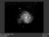 m61.gif (20389 bytes)