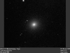 m84.gif (45066 bytes)