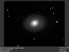 m94.gif (48487 bytes)
