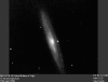 ngc4216.gif (29567 bytes)