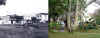 comparativa014.jpg (50679 bytes)
