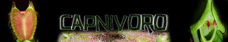 Capnivoro