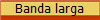 Banda larga