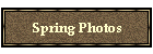 Spring Photos