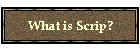 What is Scrip?