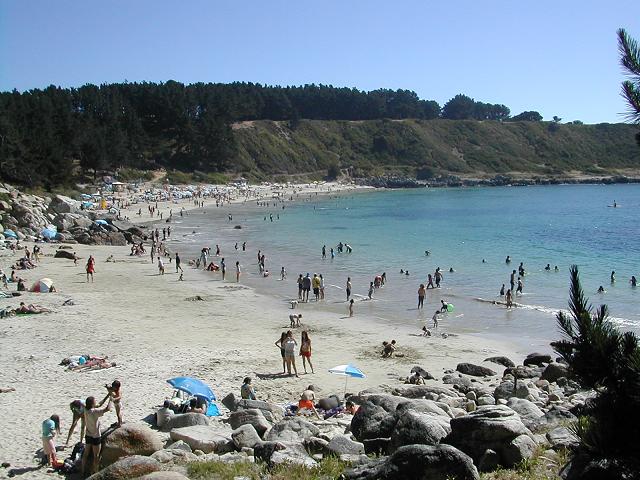 canelo - algarrobo