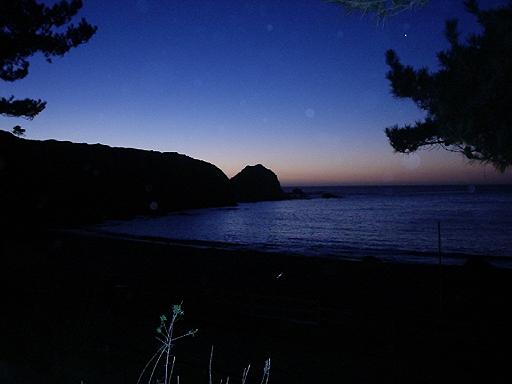 canelo - algarrobo