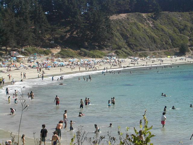 canelo - algarrobo