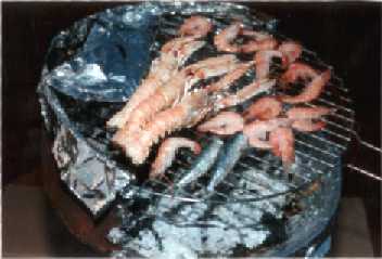 Barbecue sur la terrasse et repas au bord de la mer