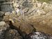 Enfractuosit� dans les rochers