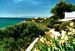 Vue vers l'extr�mit� du Cap Salou