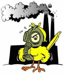 canary.png