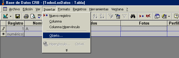 Abre el menú "Insertar " y da un clic en "Objeto..."...