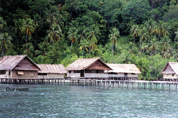 Kri Island Resort
