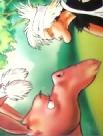 #48