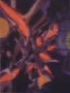 #11