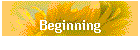 Beginning