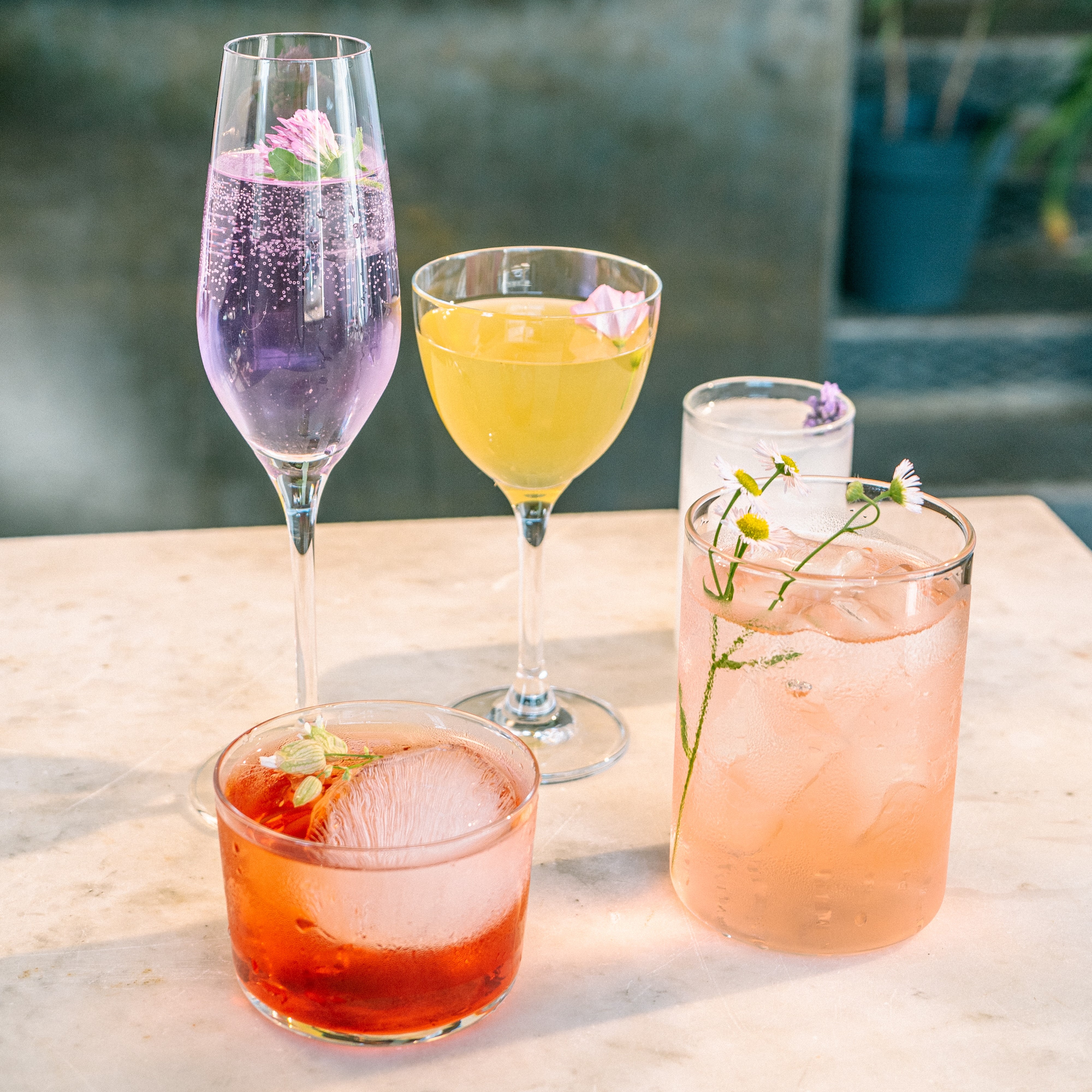 multi color drinks image