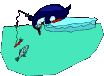 ping�iim