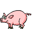 PORCO