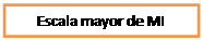Cuadro de texto: Escala mayor de MI